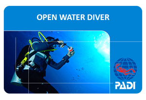 OPEN WATER DIVER