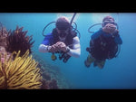 DIVE MASTER